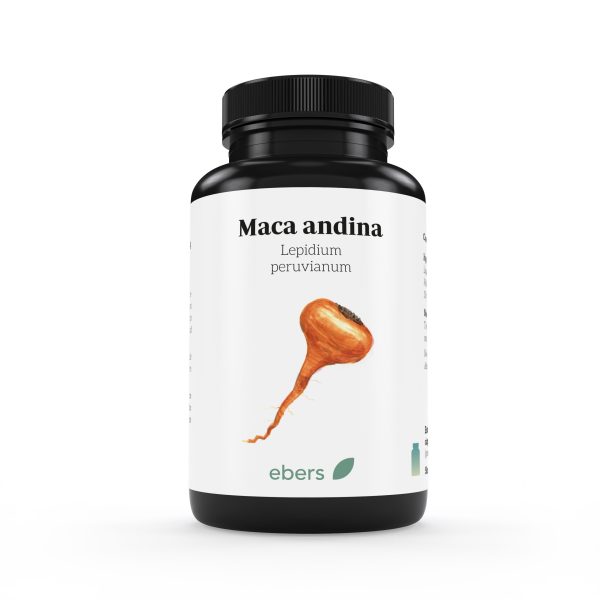 ALMOHADA ANDINA 60CAPS 450M
